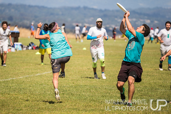 Cal States 2017