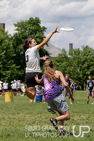 Sunday Action: 2017 Boston Invite