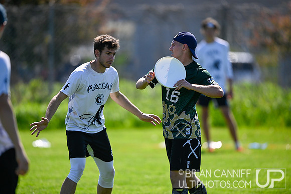 2024 USA Ultimate Division 3 College Championships