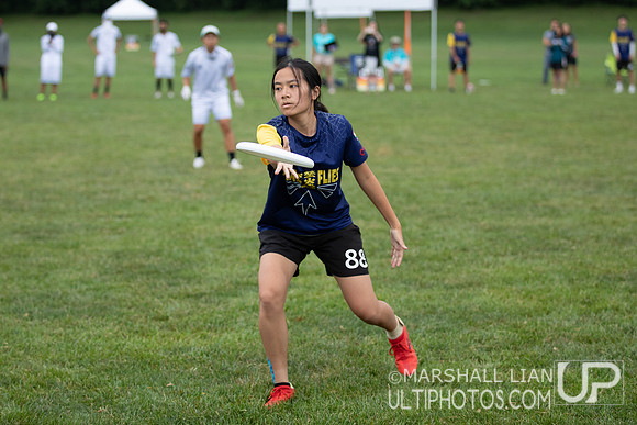 Fireflies vs IKU