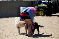 Saturday - 2024 Beach Championships
