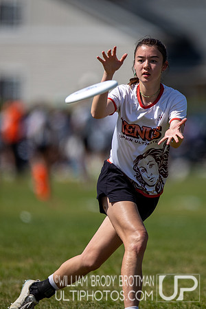 Day 2 of the USA Ultimate D-I College Championships