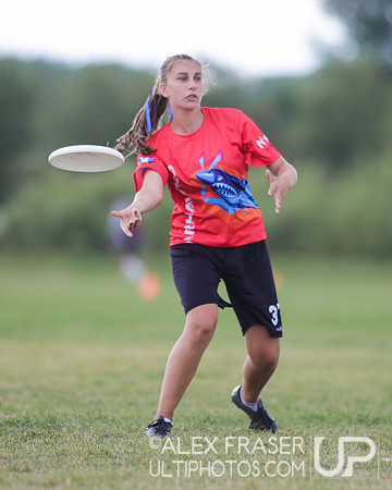 Quarterfinals - 2017 USA Ultimate Youth Club Championships