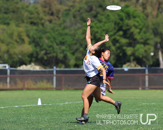 NorCal D1 Conference Championships