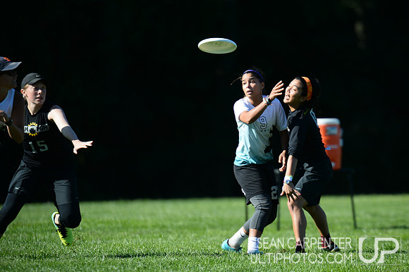 2017 Founders Womens Sectionals