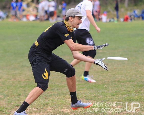 New York Invite 2017