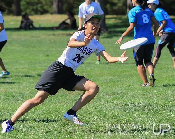 Saturday Action - 2017 USAU Northeast Regionals