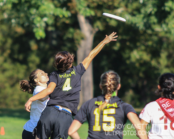 Sunday Action - 2017 USAU Northeast Regionals