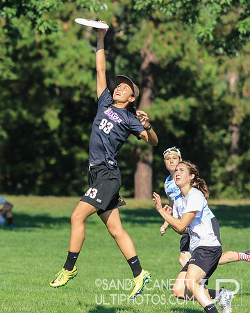 Sunday Action - 2017 USAU Northeast Regionals