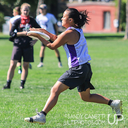 Saturday Action - 2017 USAU Northeast Regionals