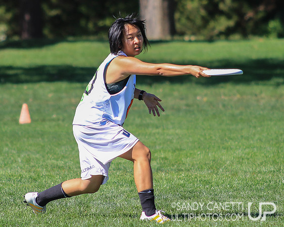 Saturday Action - 2017 USAU Northeast Regionals