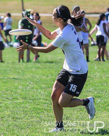Saturday Action - 2017 USAU Northeast Regionals