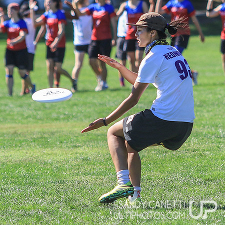 Saturday Action - 2017 USAU Northeast Regionals