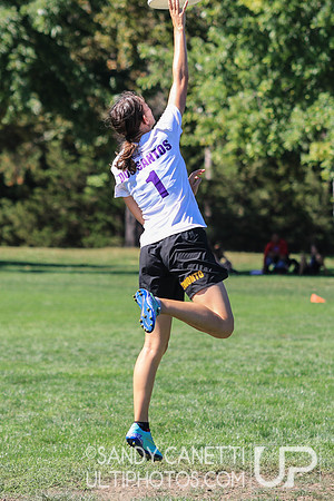 Saturday Action - 2017 USAU Northeast Regionals