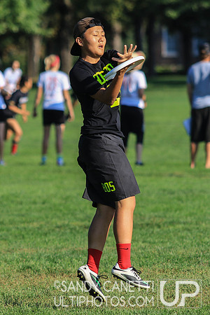 Sunday Action - 2017 USAU Northeast Regionals