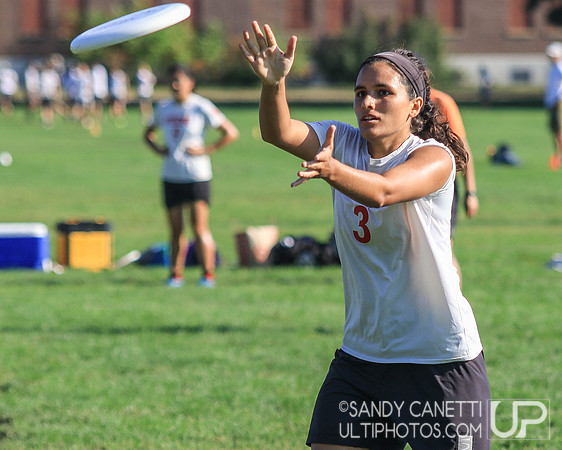 Sunday Action - 2017 USAU Northeast Regionals