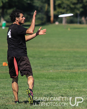 Sunday Action - 2017 USAU Northeast Regionals