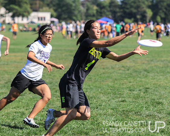Sunday Action - 2017 USAU Northeast Regionals