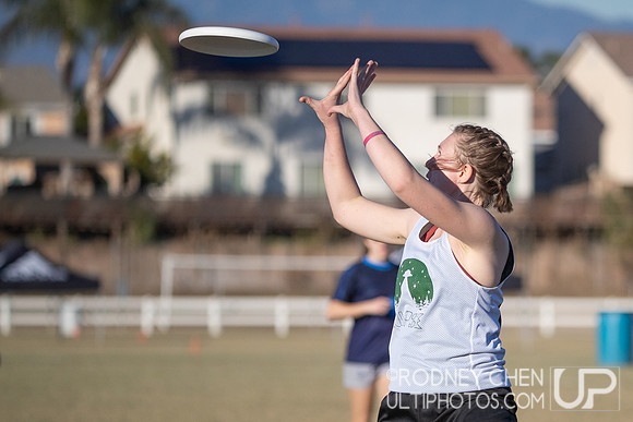 2021 USA Ultimate College Championships