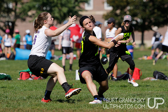 Sunday Action -- 2017 USAU Northeast Regionals