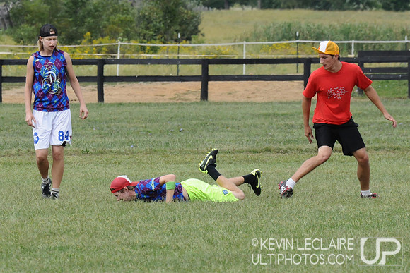 Sunday Mixed Division - Dumpsterfire v. Chesterfield Chaos - 2009 Capital Sectionals