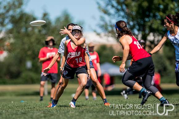 2017  USA Ultimate International Club Championships