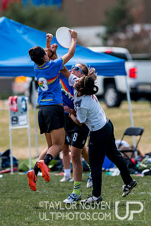 2017  USA Ultimate International Club Championships