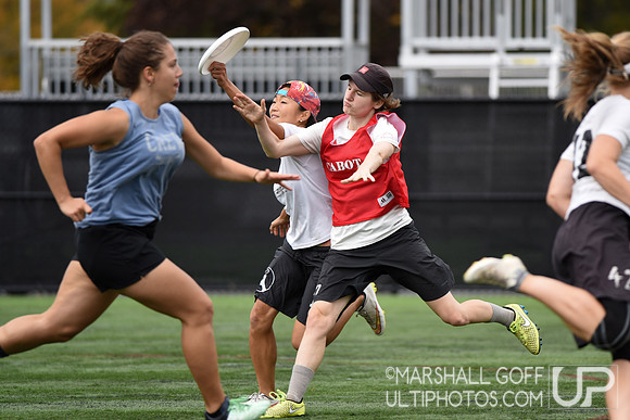 Harvard 40th Ultimate Reunion