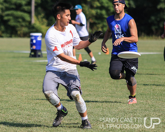 Metro New York Sectionals - Sunday
