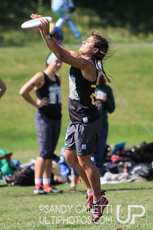 Metro New York Sectionals - Sunday