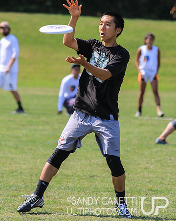 Metro New York Sectionals - Sunday