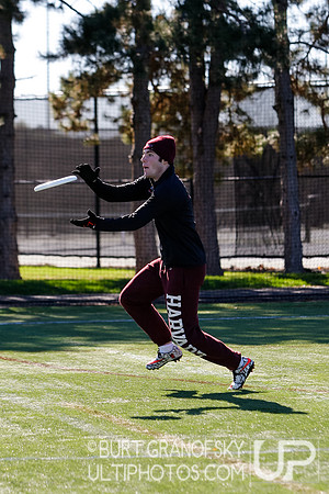 Redline vs Elite Alumni Game - Harvard Ultimate 40th Reunion