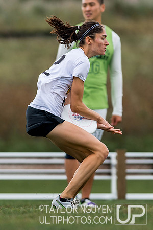 USA Ultimate Club National Championships