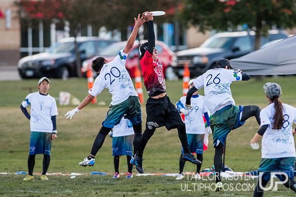 2017  USA Ultimate International Club Championships