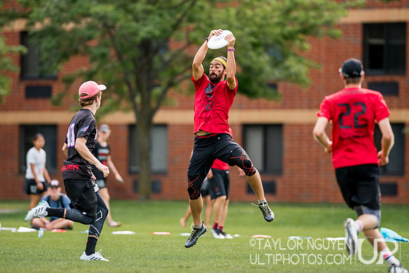 2017  USA Ultimate International Club Championships