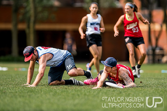 2017  USA Ultimate International Club Championships