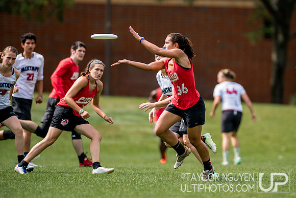 2017  USA Ultimate International Club Championships