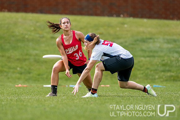 2017  USA Ultimate International Club Championships
