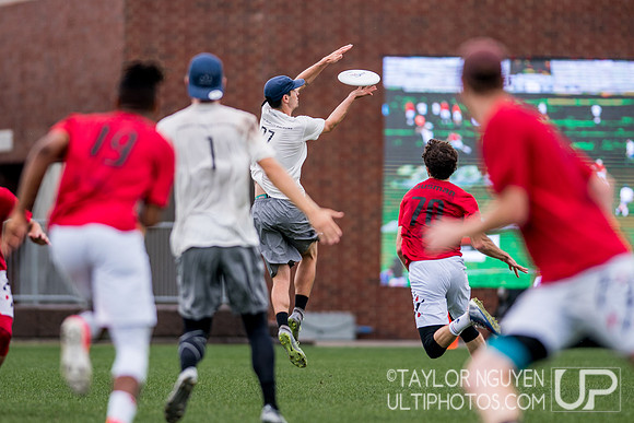 2017  USA Ultimate International Club Championships