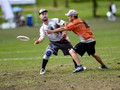 Element vs Last Stand - 35th Place Game - WUCC 2014
