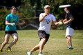 Fall Ultimate League -- 2013