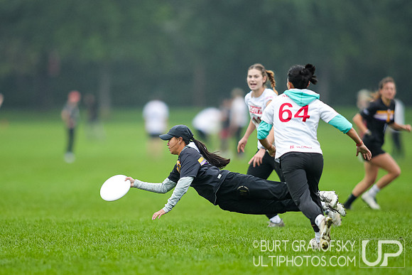 USAU NE Regionals, September 24, 2023
