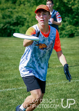 Illinois High School State Championship