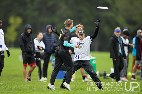 USAU NE Regionals, September 23, 2023