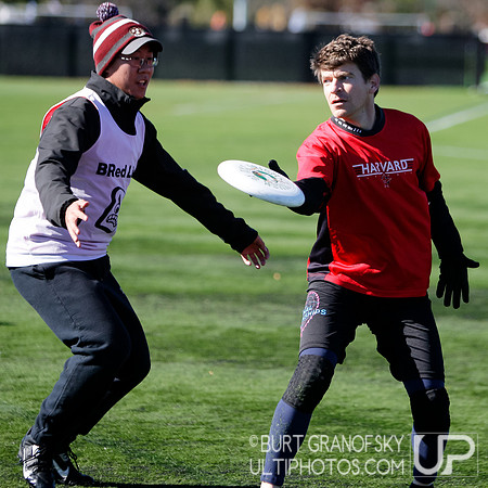 Bredline vs Alumni Game - Harvard Ultimate 40th Reunion
