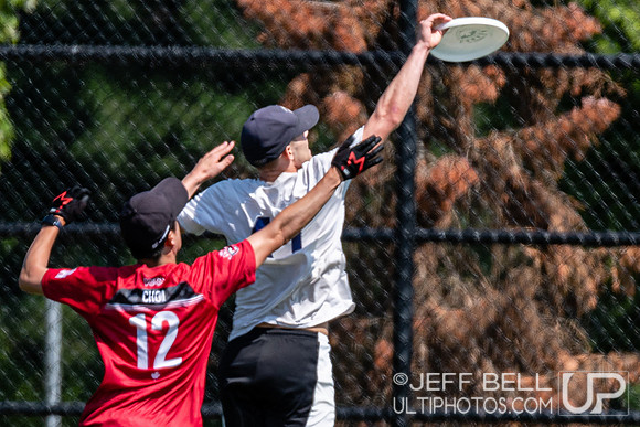 Vancouver Mixed ultimate early season round robin tournament