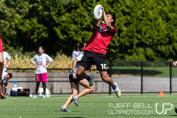 Vancouver Mixed ultimate early season round robin tournament