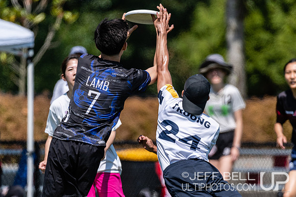 Vancouver Mixed ultimate early season round robin tournament