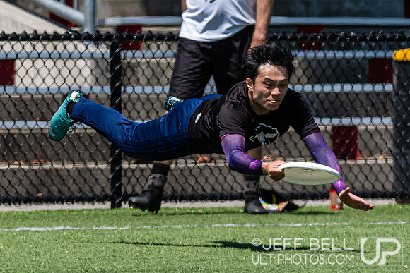 Vancouver Mixed ultimate early season round robin tournament
