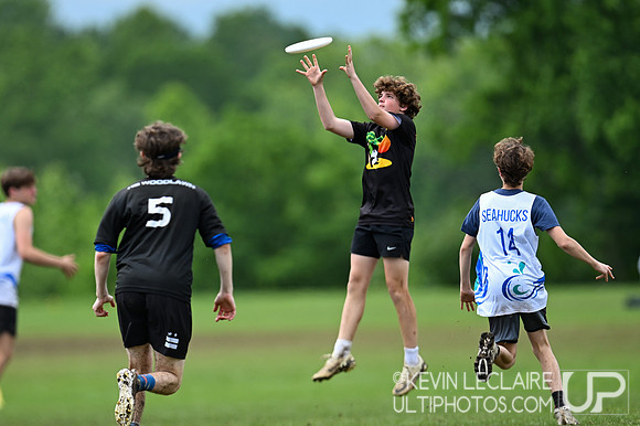 Jackson-Reed Tigers vs. Schools Without Walls - Boys Final -VA HS State Champs